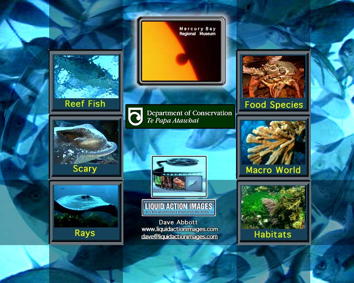 Mercury Bay 'Nature Walk' DVD